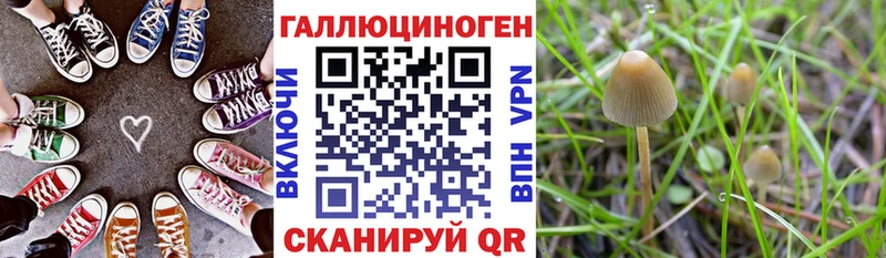 Псилоцибиновые грибы прущие грибы  кракен ONION  Мытищи 