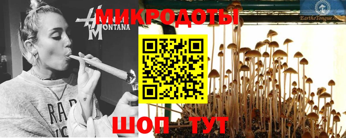Псилоцибиновые грибы Magic Shrooms  Галлюциногенные грибы мицелий  купить наркоту  Мытищи  Вход с VPN 