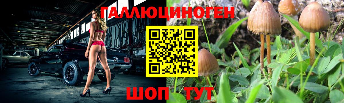Галлюциногенные грибы MAGIC MUSHROOMS Мытищи