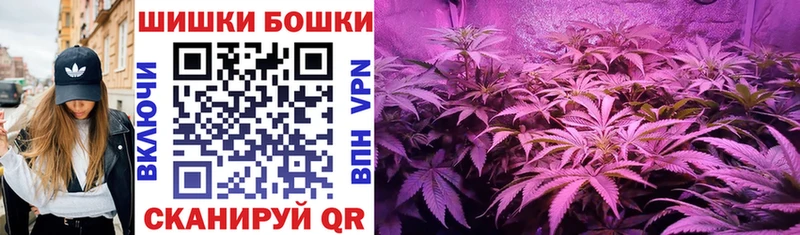 купить  цена  Мытищи  Канабис планчик 